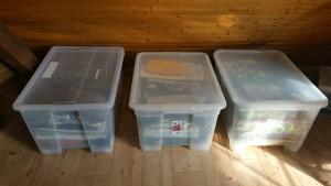 20170312_101014_resized